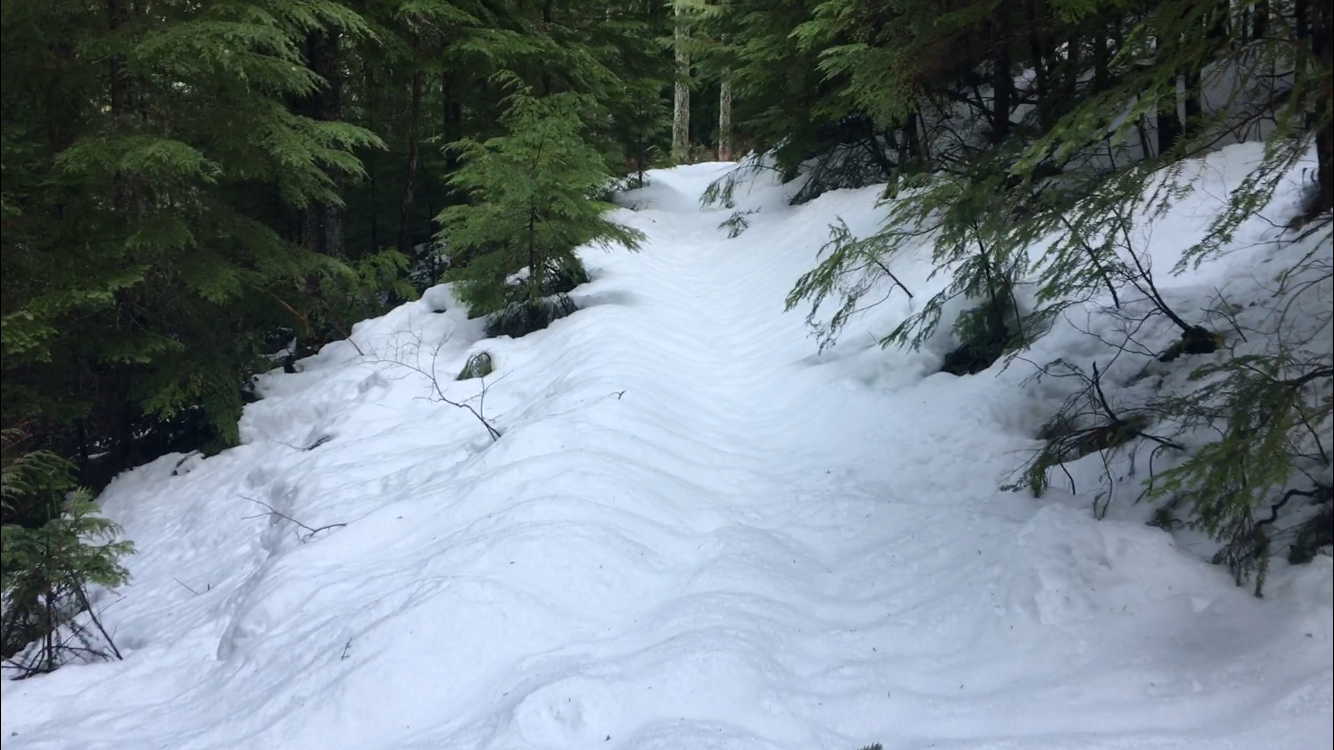 Packwood Lake Snowshoe — Washington Trails Association